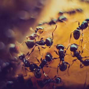 Foto/Grafik Quelle: unsplash.com [by Salmen Bejaoui]